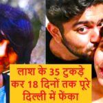 Shraddha Aftab Love Story & Murder Mistry : लाश के 35 टुकड़े कर 18 दिनों तक पूरे दिल्ली में फेंकता रहा, श्रद्धा की मौत की उन 18 दिनों की रोंगटे खड़ी कर देने वाली कहानी